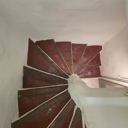 Appartement L'Elegante Terrasse Tropezienne *